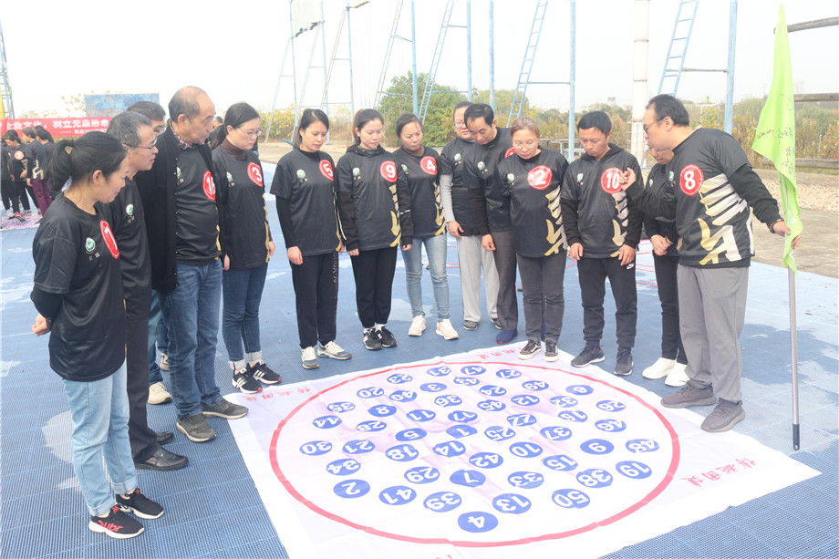 Our Team Building Activity